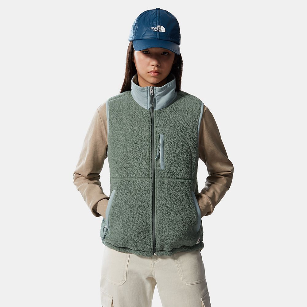 The North Face Vests Womens Australia - The North Face Cragmont Fleece Green / Silver Blue (UTO-3849